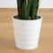 4ft. UV Resistant Artificial Snake Plant in White Decorative Planter